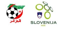 Algeria - Slovenia 0-1, Gruppo C Mondiali 2010
