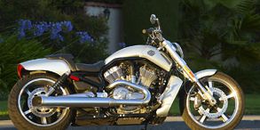 Harley-Davidson HD VRSCF Muscle