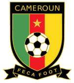 Convocati Camerun Mondiali 2010