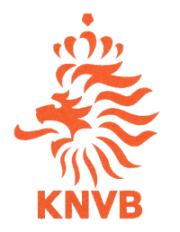 Convocati Olanda Mondiali 2010