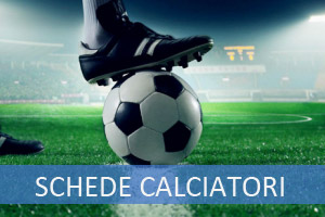 Schede tecniche calciatori